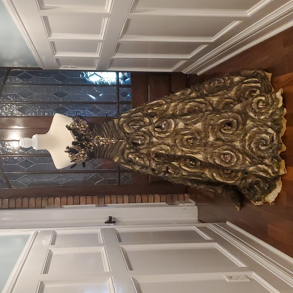 Formal Gown..Pageant, Prom, Galaxy, or Mardi Gras